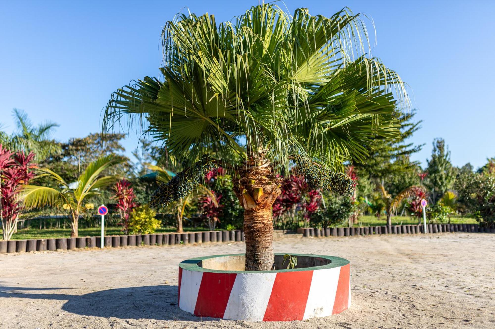 Andasibe Lemurs Lodge Eksteriør billede